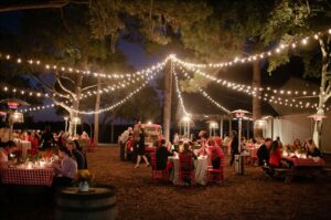 diner à table éclairée par des guirlandes lumineuse pour un style guinguette